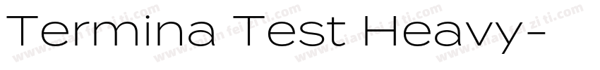Termina Test Heavy字体转换